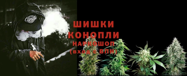крисы Баксан