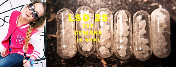 крисы Баксан