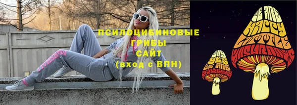крисы Баксан