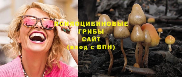 крисы Баксан