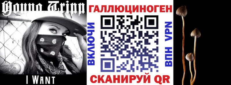 Псилоцибиновые грибы GOLDEN TEACHER ОМГ ОМГ сайт Ясногорск